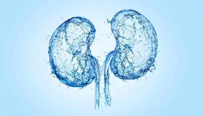How Much Water Is Good for Kidney Health?