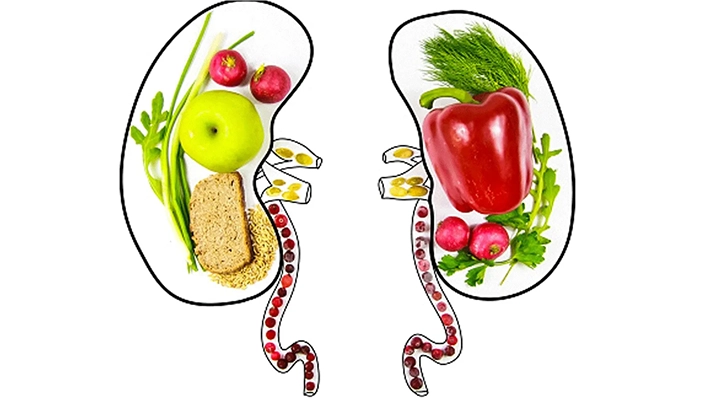 Kidney Friendly Diet