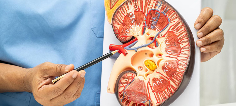 ABO Incompatible Kidney Transplant